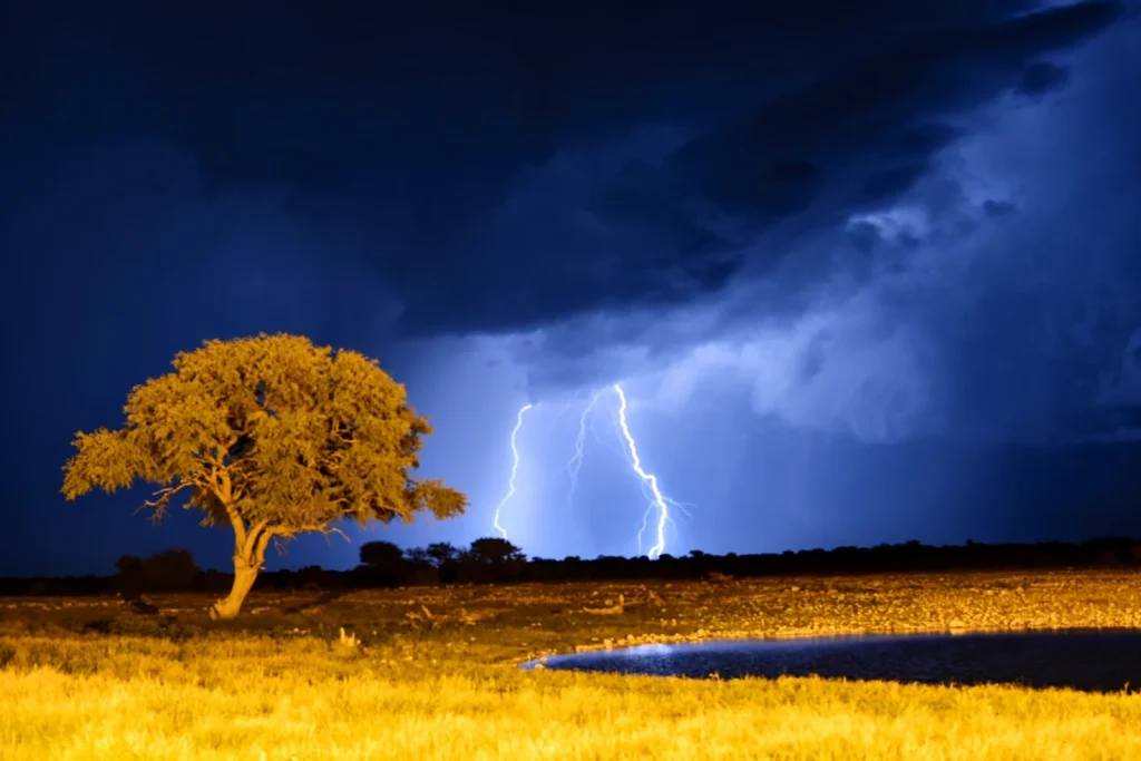 Lightning above the floodlit Okaukuejo waterhole during a night storm.